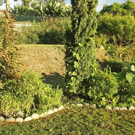 Alloggio in famiglia Rochas Shared Garden Refuge *