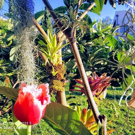 Rochas Shared Garden Refuge Alloggio in famiglia