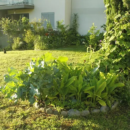 Homestay Rochas Shared Garden Refuge Funchal (Madeira)