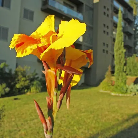 Rochas Shared Garden Refuge Funchal (Madeira)