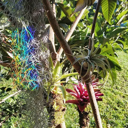 Rochas Shared Garden Refuge *