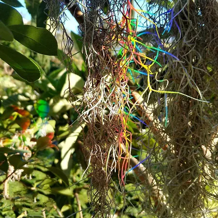 Rochas Shared Garden Refuge * Φουνκάλ