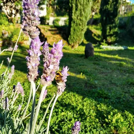 Rochas Shared Garden Refuge Δωμάτια σε οικογενειακή κατοικία *