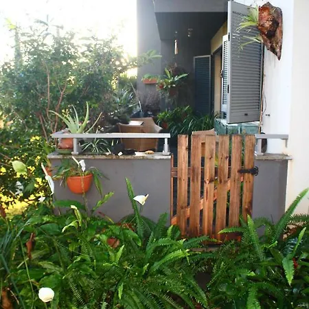 Rochas Shared Garden Refuge Homestay Funchal (Madeira)