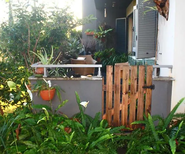 Rochas Shared Garden Refuge 홈스테이 푼샬