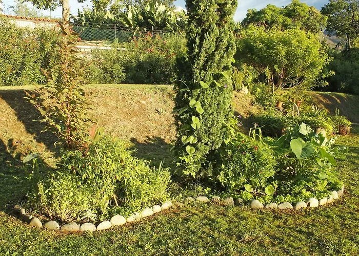 홈스테이 Rochas Shared Garden Refuge *