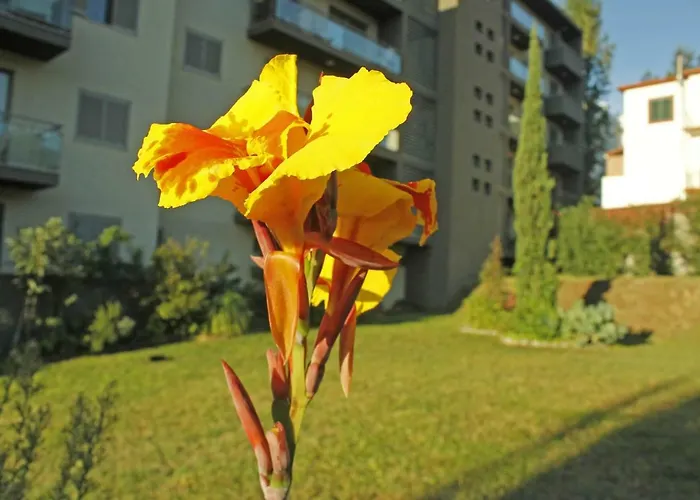 Rochas Shared Garden Refuge 푼샬