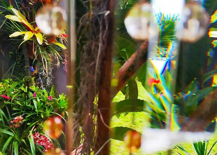 Rochas Shared Garden Refuge *