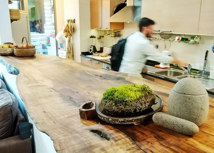 Rochas Shared Garden Refuge 홈스테이