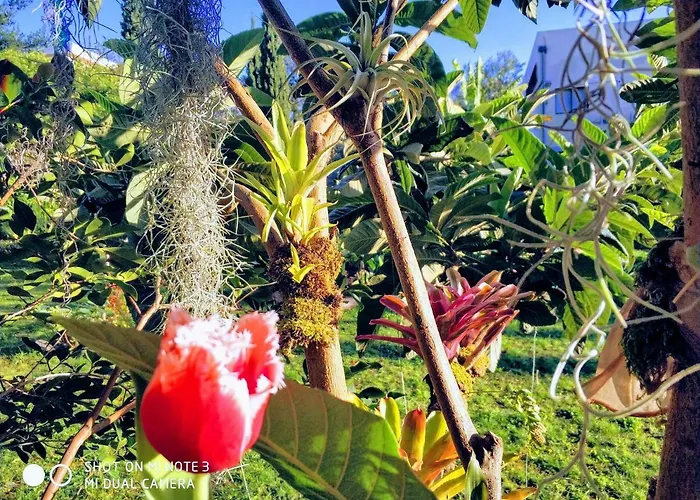 Rochas Shared Garden Refuge 홈스테이