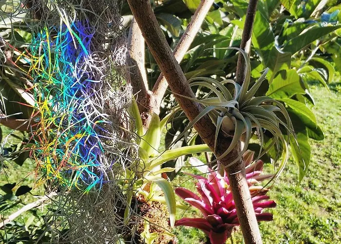 Rochas Shared Garden Refuge *