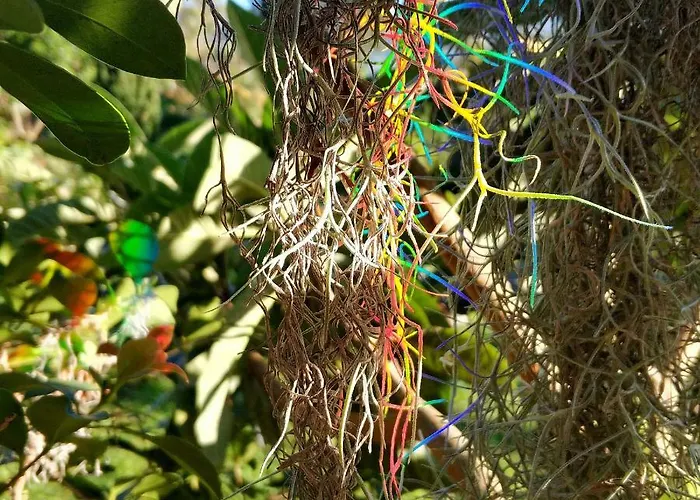 Rochas Shared Garden Refuge * 푼샬