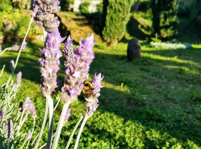 Rochas Shared Garden Refuge 홈스테이 *