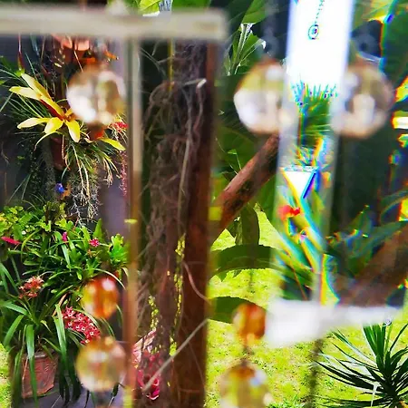 Rochas Shared Garden Refuge *